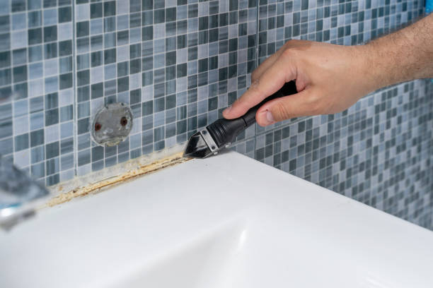 Best Residential Mold Remediation in South Roxana, IL