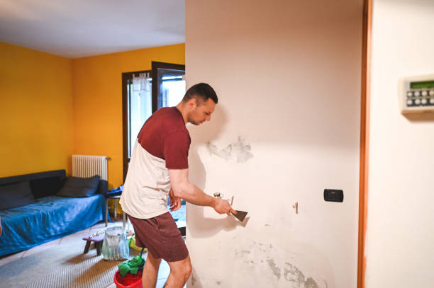 Best Mold Testing and Inspection Services in South Roxana, IL